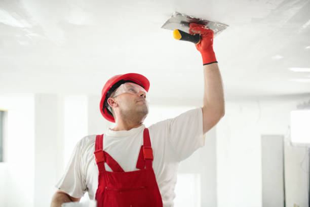  , USA Painting & Drywall Services Pros